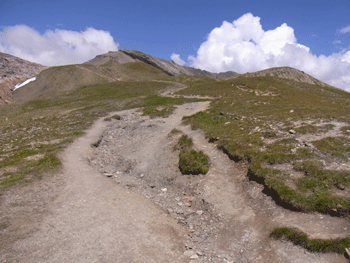 a0044453_21562813.gif