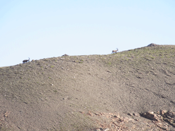 a0044453_21572618.gif