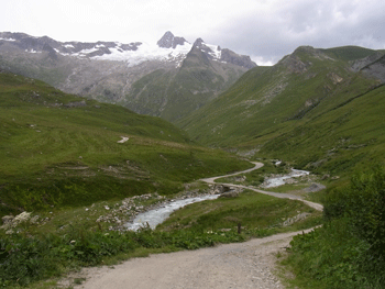 a0044453_2235850.gif