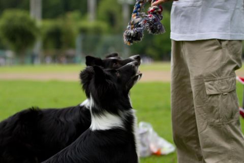 f0236653_207058.jpg