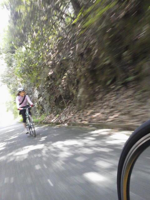 美女に自転車レッスン 両手放し出来たぁ 自転車コギコギ日記 美女に自転車レッスン 両手放し出来たぁ 自転車コギコギ日記