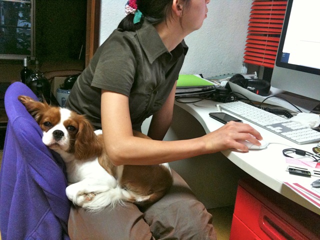 仕事中_b0193762_11253498.jpg