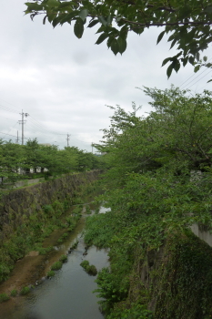d0173368_8172511.jpg
