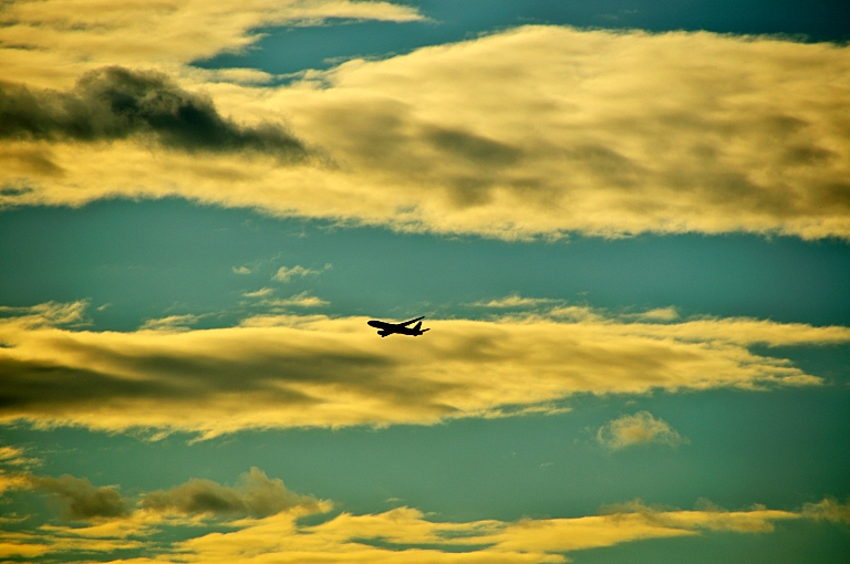 ４日振り大阪国際空港までポタ--1--20110720_a0050572_9573365.jpg