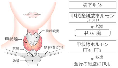 危険は安全_c0139575_16534921.gif