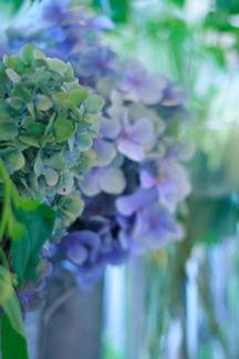 今週のお花さん_b0209477_13171458.jpg