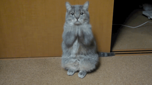a0085581_21461867.gif