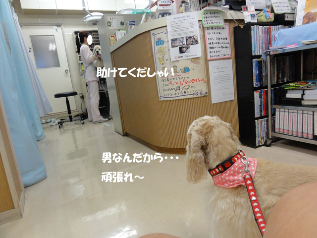 f0218182_21224932.jpg