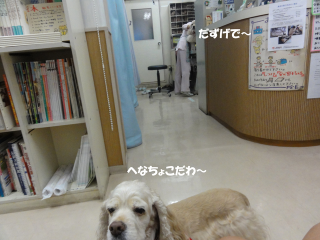 f0218182_21243956.jpg