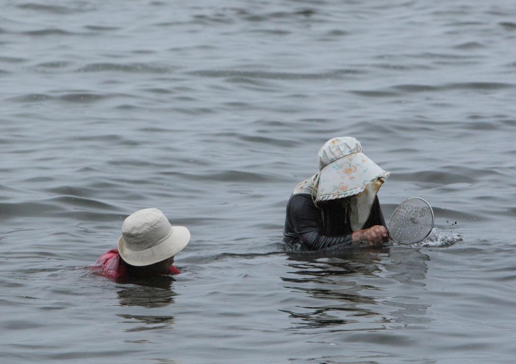 シジミ採り！！　涸沼にて　2011年7月23日_e0143883_1571611.jpg