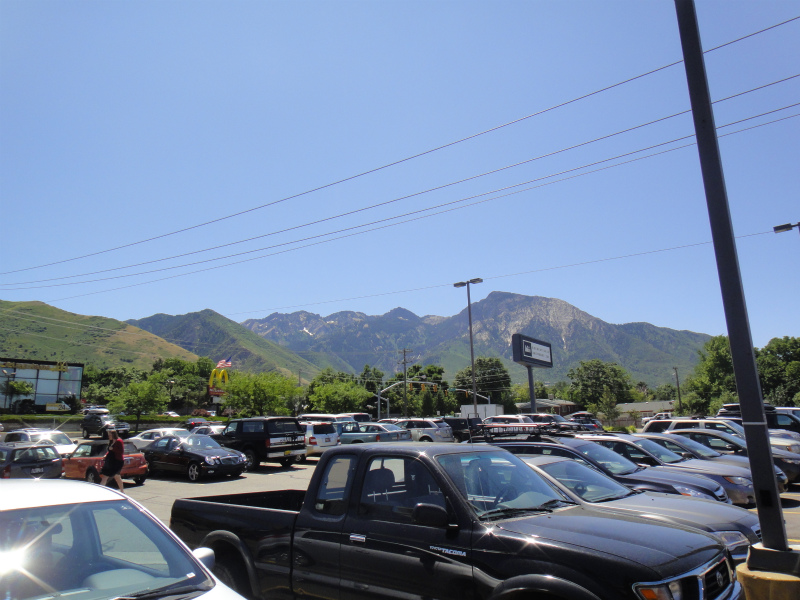 2011/07/22  アメリカ・トリップ　Wasatch National Forest Day.2_b0220886_14241414.jpg