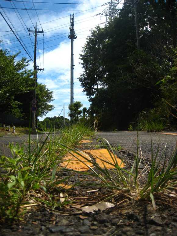 d0224990_16522693.jpg