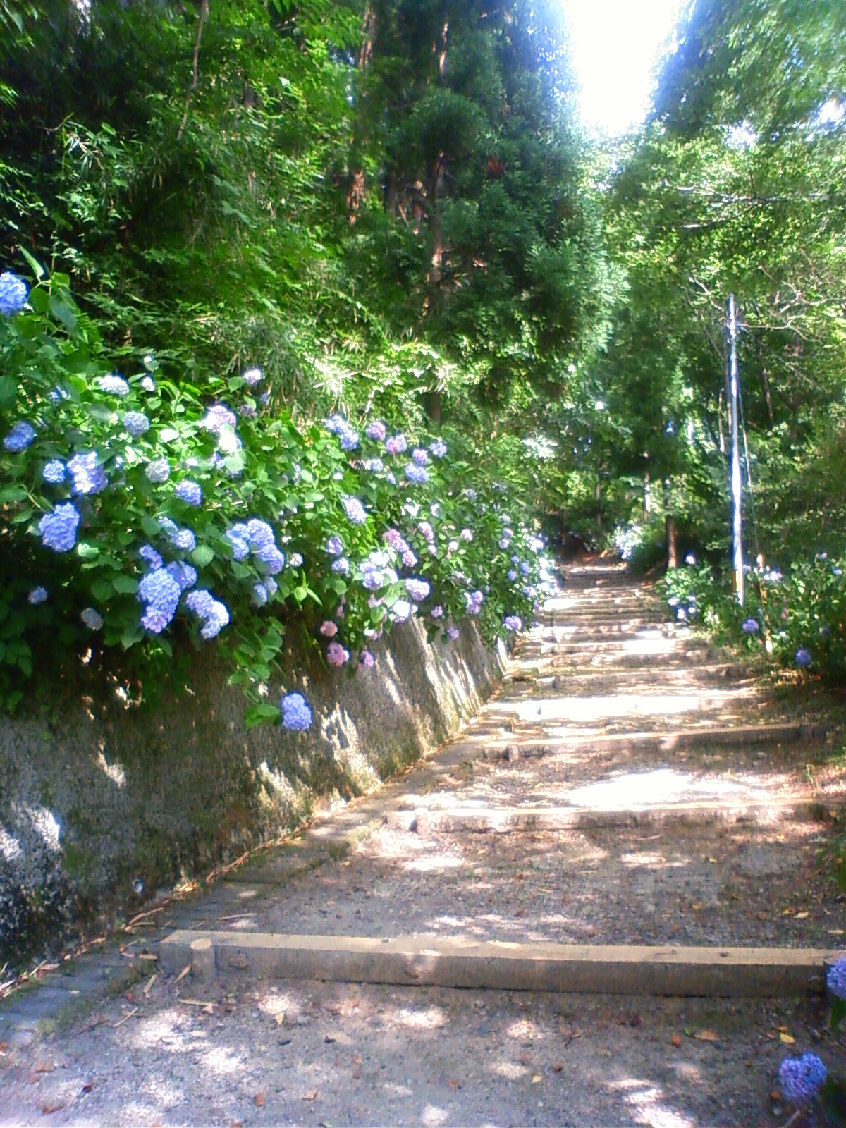 d0077992_13495247.jpg