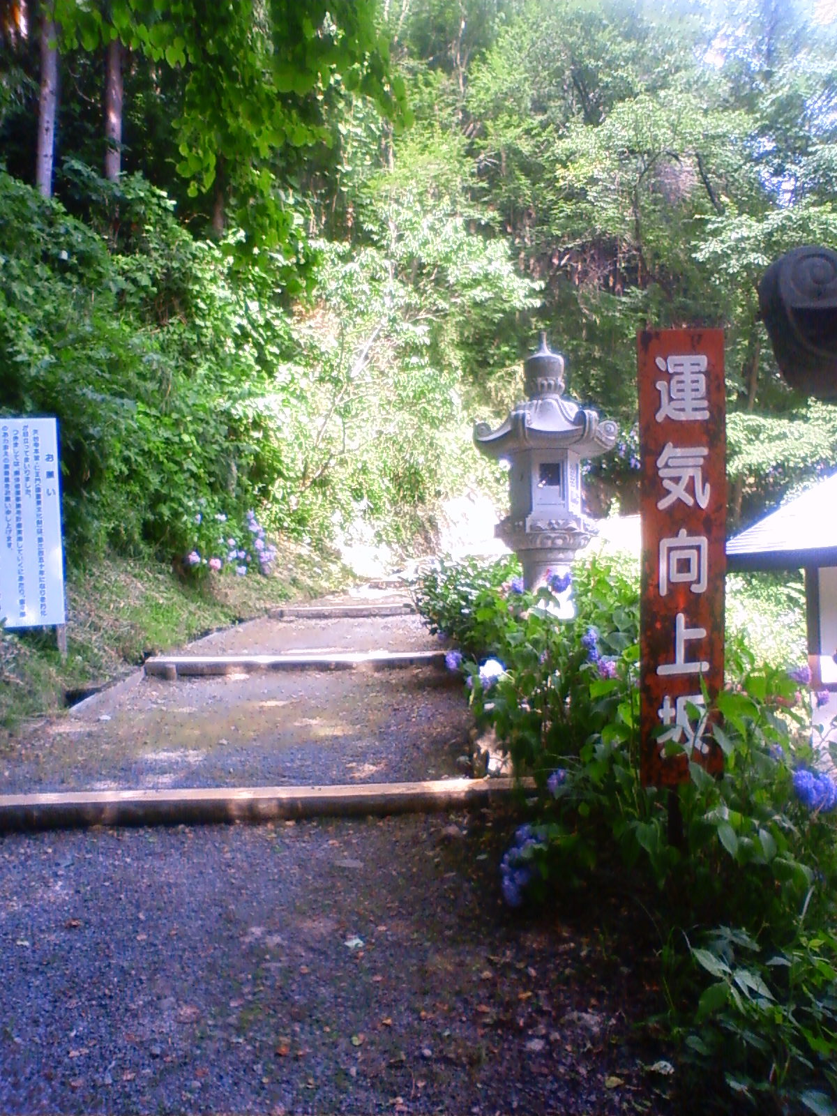 d0077992_13495251.jpg