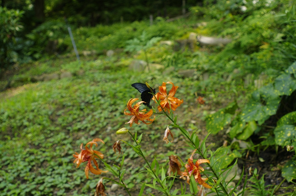 b0138101_2173679.jpg