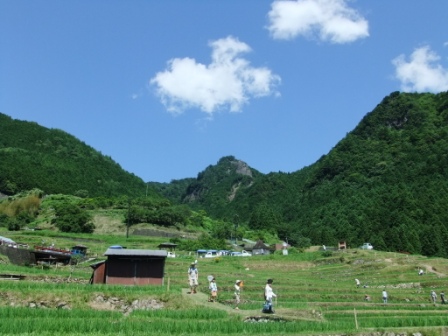 ♪虫送り～どぉ～ののおと～りだい！丸山千枚田で虫送り_d0154403_16412780.jpg