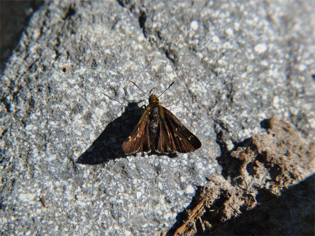 b0159904_2253415.jpg
