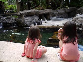 b0165707_23495410.jpg