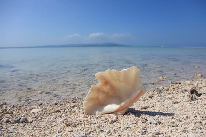 沖縄　コバルトブルーの海と珊瑚の砂浜_d0053309_1131143.jpg