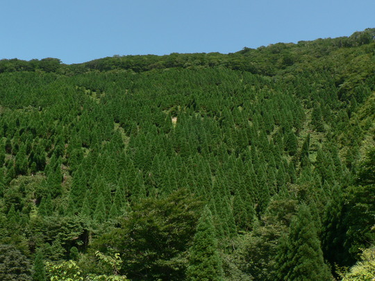 f0219710_11443625.jpg
