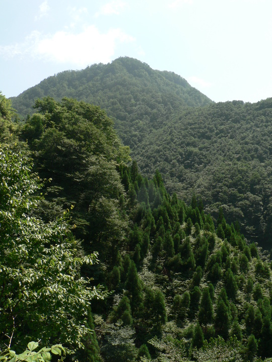f0219710_11453651.jpg