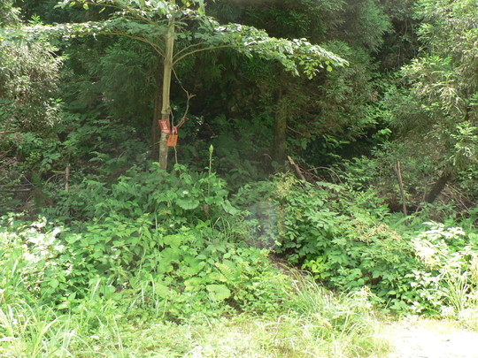 f0219710_8113747.jpg