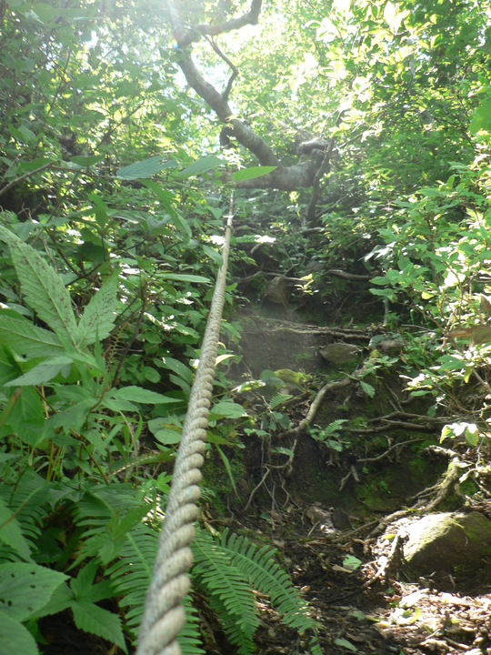 f0219710_8134752.jpg
