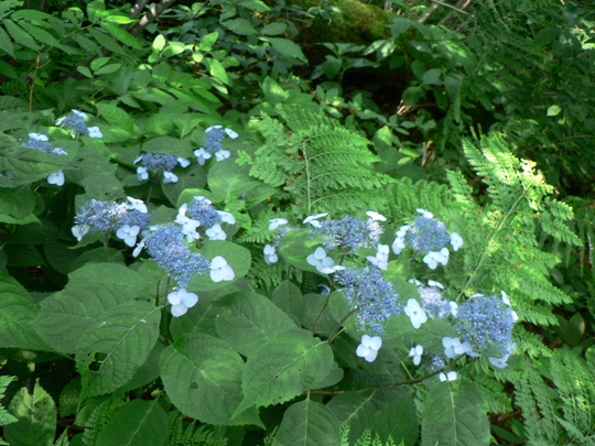 f0219710_8343057.jpg