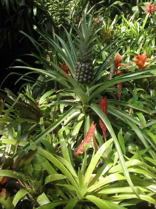 c0206212_19355947.jpg