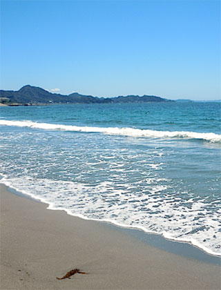 f0036716_05254.jpg