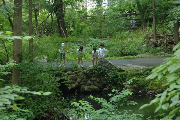 f0012718_2332377.jpg