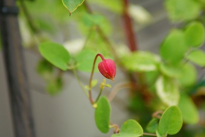 f0170524_23443136.jpg