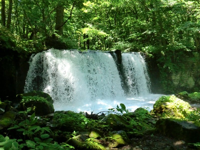 d0130927_8464344.jpg