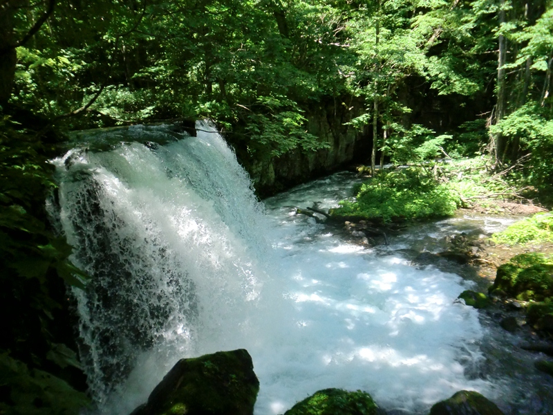 d0130927_8471862.jpg