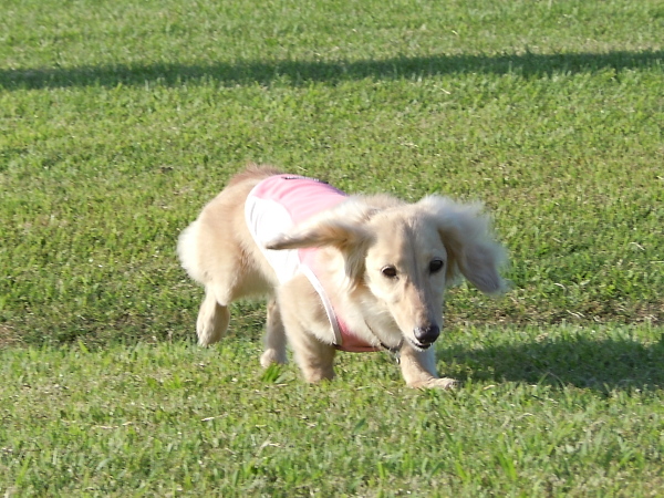 c0117831_2274533.jpg