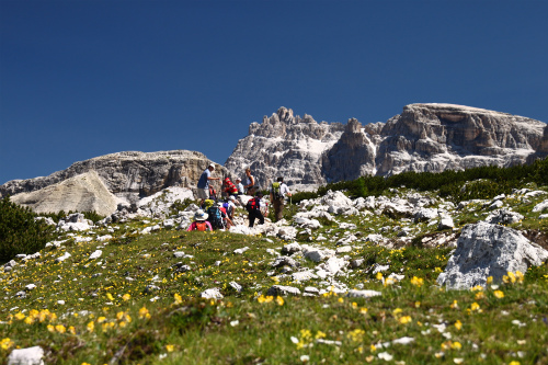 d0055236_22201251.jpg