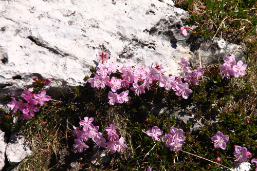 d0055236_22203367.jpg