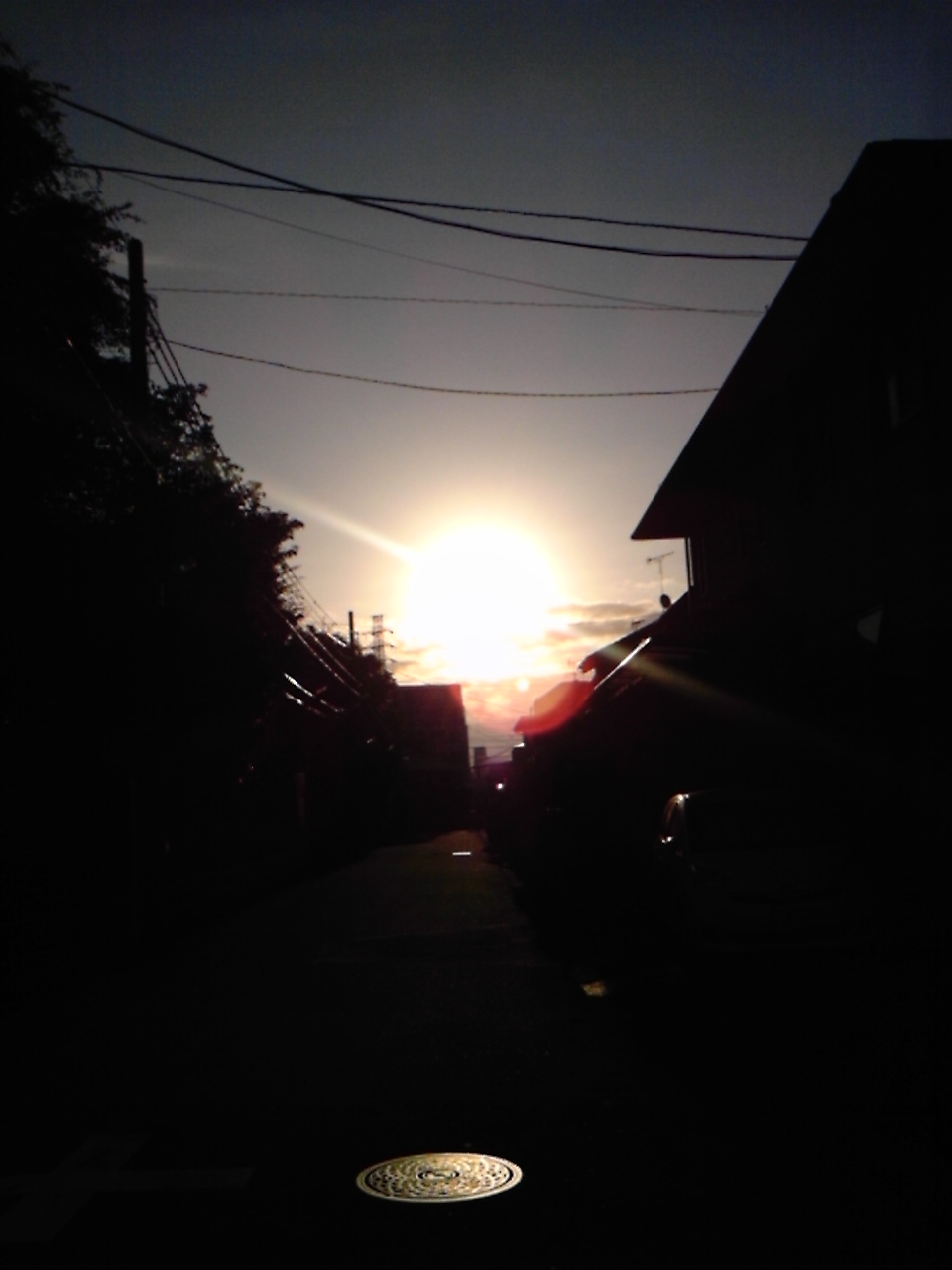 a0163738_1503880.jpg