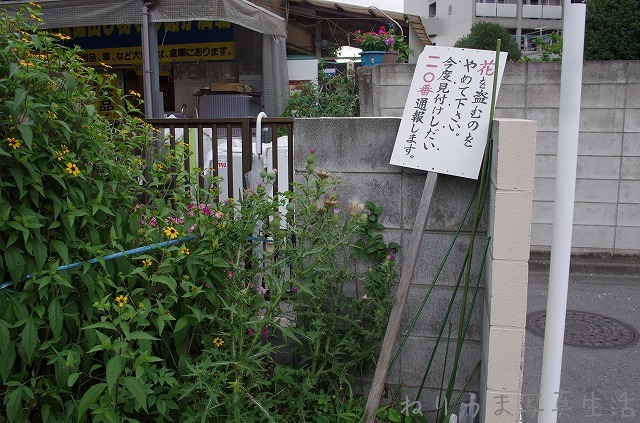 a0009142_828114.jpg