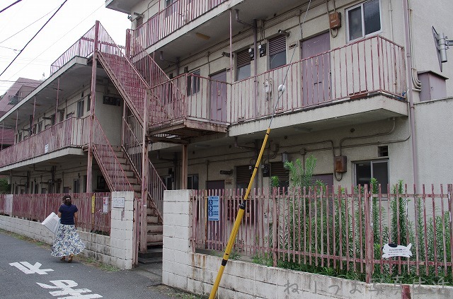 a0009142_8282890.jpg