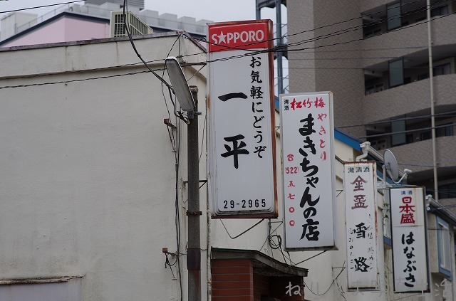 a0009142_8284890.jpg