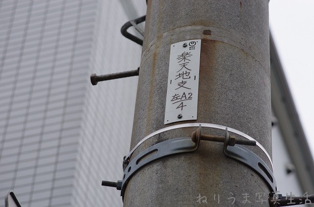 a0009142_829491.jpg