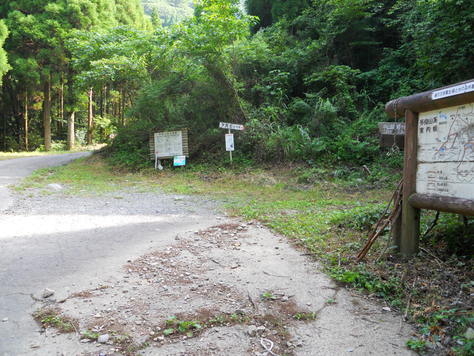 経ヶ岳から金泉寺　オオキツネノカミソリ再び_a0206345_20332483.jpg