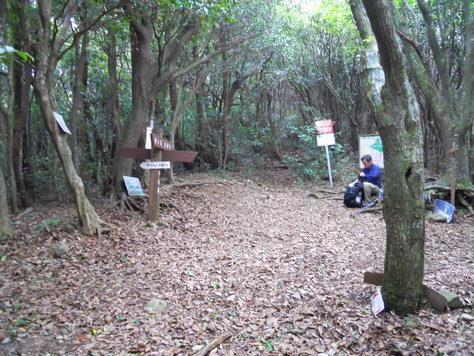 経ヶ岳から金泉寺　オオキツネノカミソリ再び_a0206345_20494636.jpg