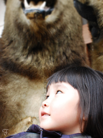 2011北海道~2日目・札幌から小樽_d0227246_1722558.jpg