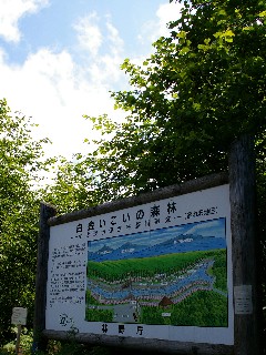 f0045846_1530079.jpg
