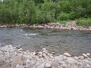 c0097652_18125446.jpg