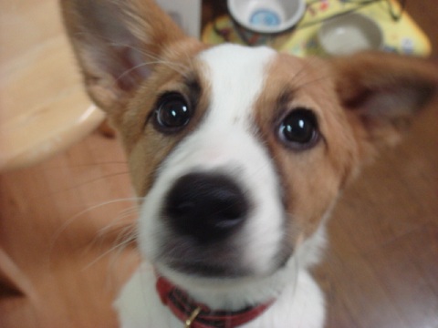 f0046854_0491680.jpg