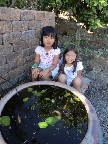 e0033156_404518.jpg