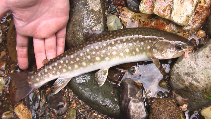 b0208961_7113129.jpg